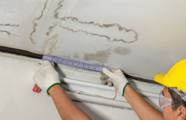 Reliable Water Damage Repair contractor in Isle Au Haut, ME by Hirex Water Damage